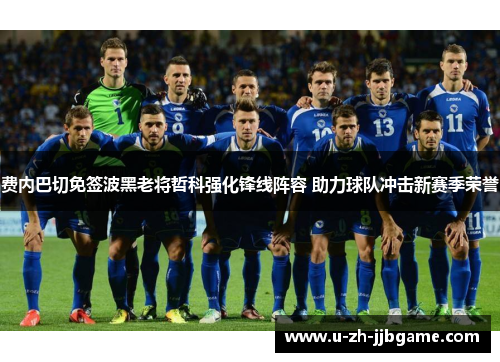 费内巴切免签波黑老将哲科强化锋线阵容 助力球队冲击新赛季荣誉